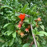 Casa Palmeras غراناديا دي أبونا
