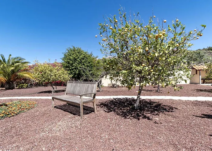 Casa Palmeras Tatil Evi